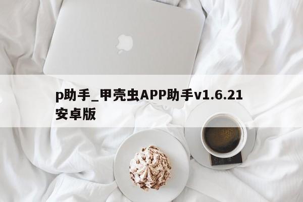 p助手_甲壳虫APP助手v1.6.21 安卓版